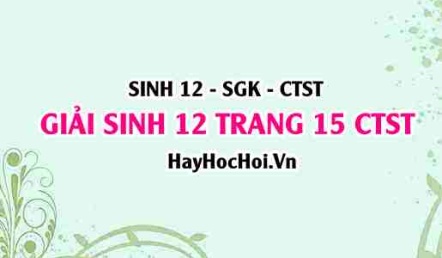 Giải Sinh 12 trang 16 Chân trời sáng tạo SGK